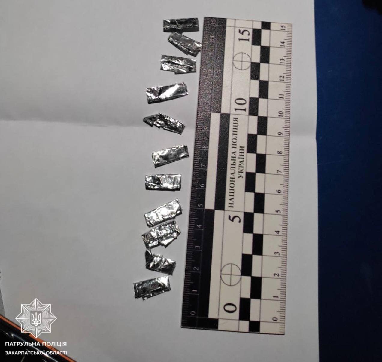 340226005_219711354073147_317832113022780092_n.jpg