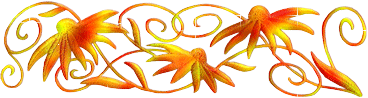 386094347.gif