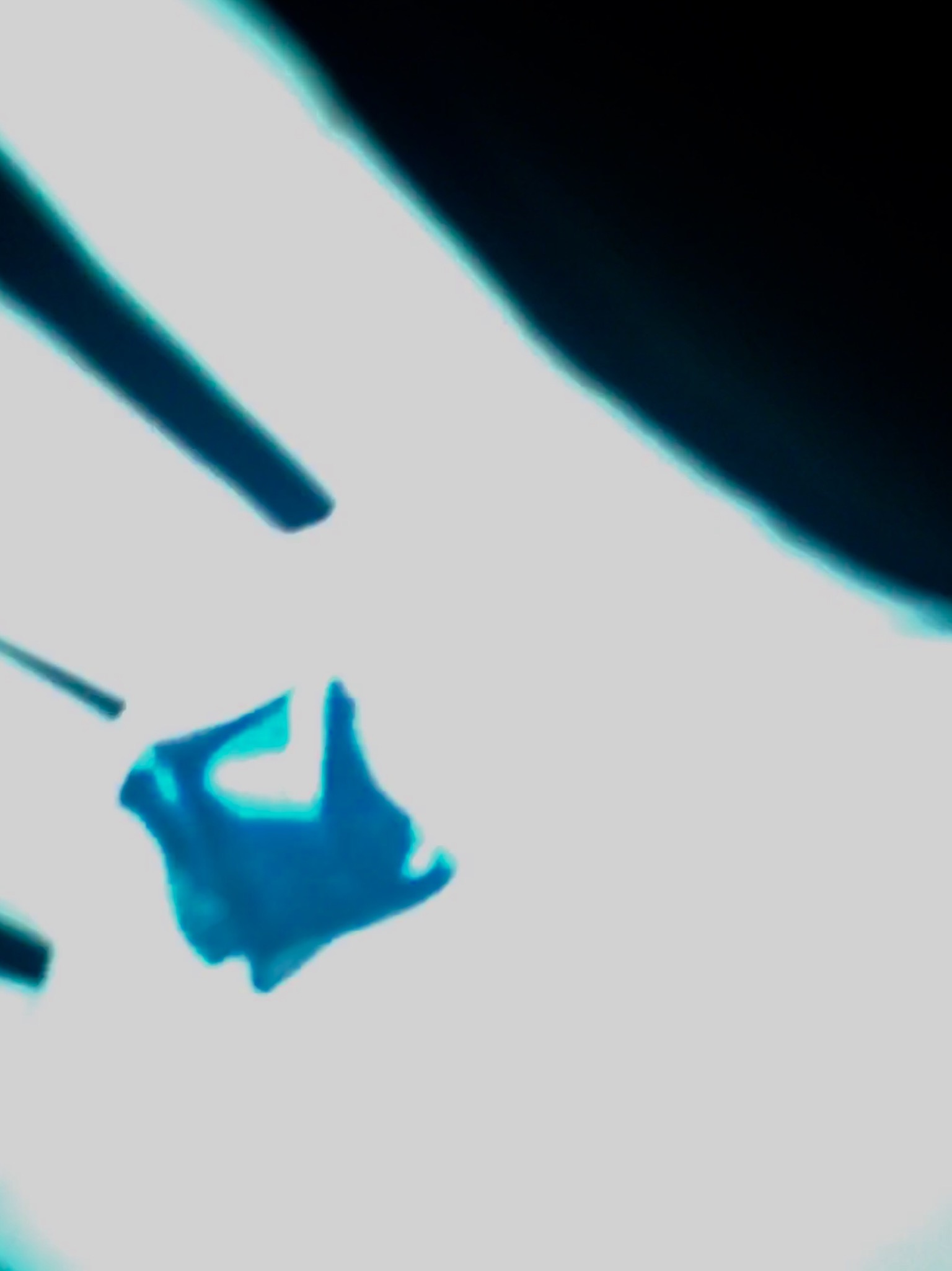 3E6518F3-E90E-40A9-9ECF-F5A55CACE9E1.jpeg