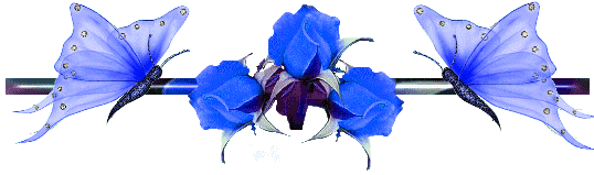 41d78247.gif