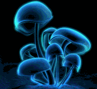 4c12fb6e1cc4c3227173a7956af5b834_w200.gif