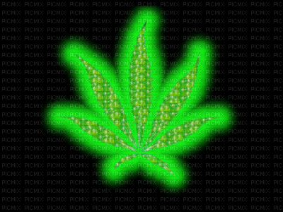 50138_ee502.gif