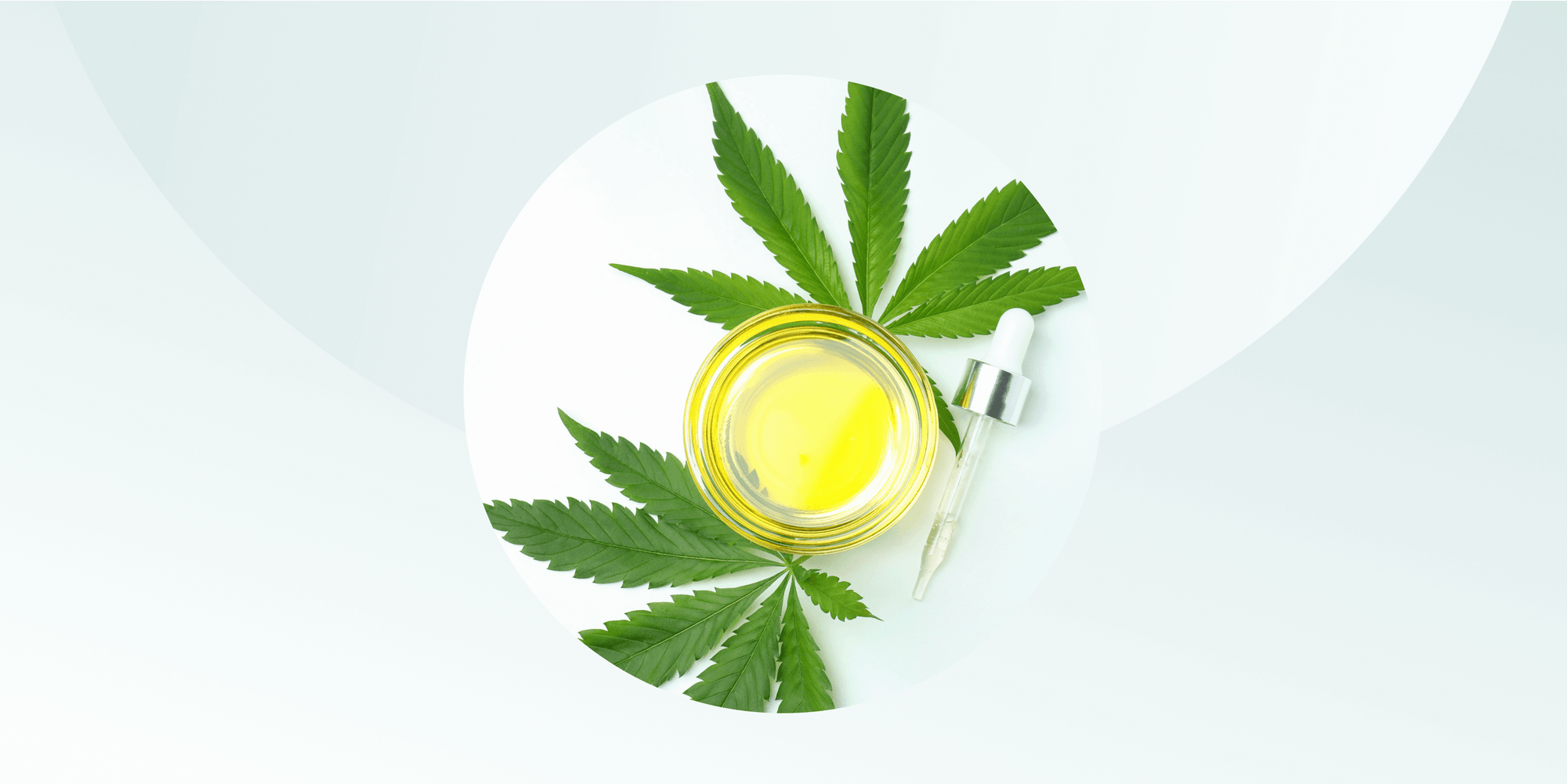 63628cc23d730052dc12b2c5_Understanding CBD_ Does it Work for Muscle and Joint Pain__Hero-p-2000.png