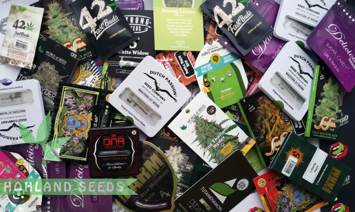 65c0a4a9eec9b_cannabis-seeds.png
