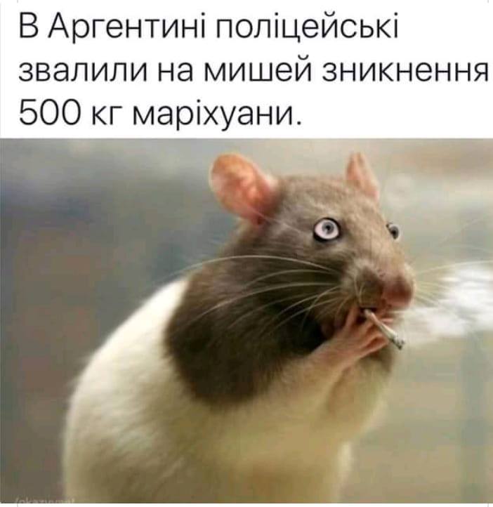 70592091_2676599885703931_768766525707386880_n.jpg