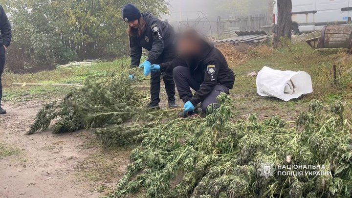7068189f2e85c223.jpg