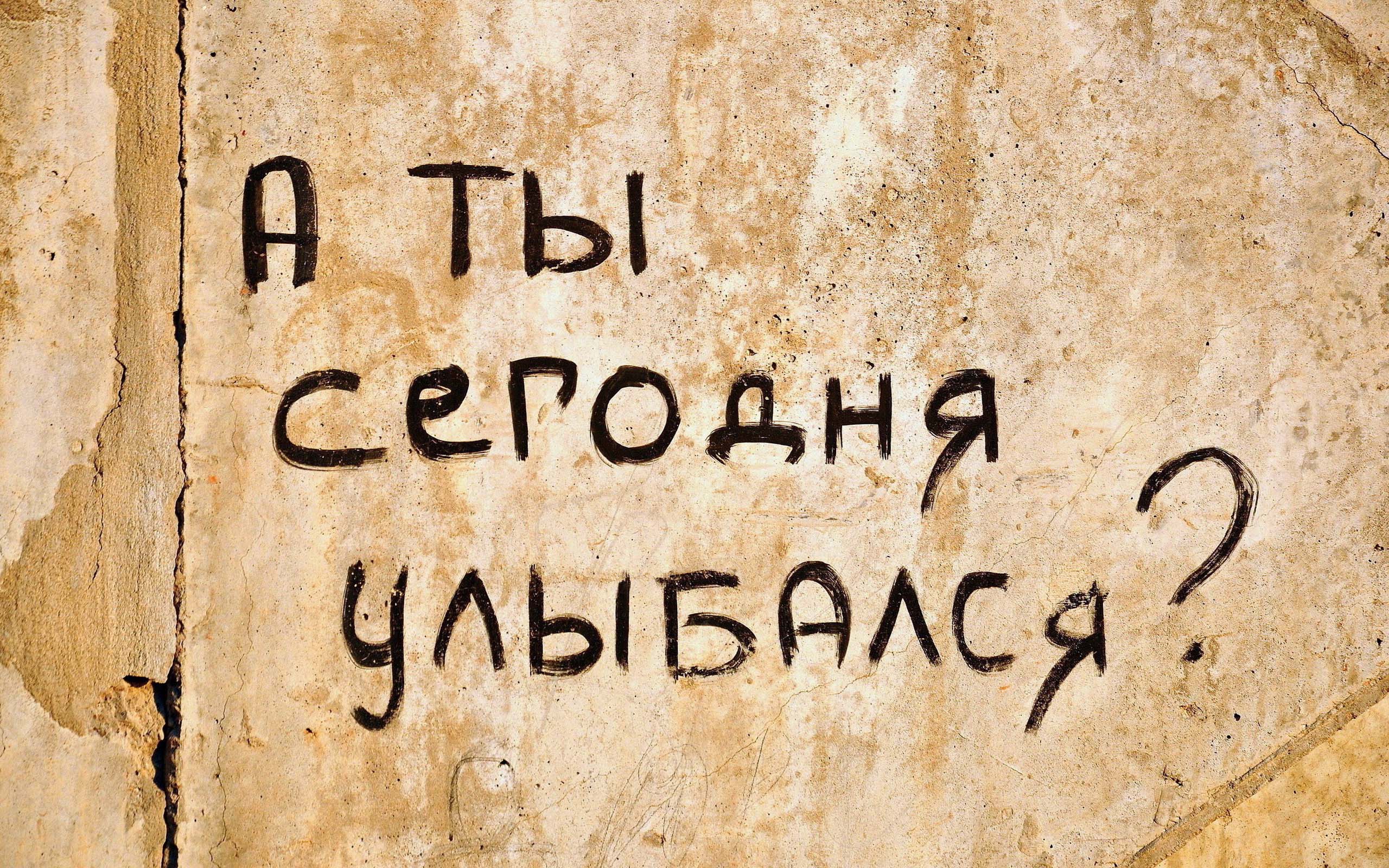 790336.jpg