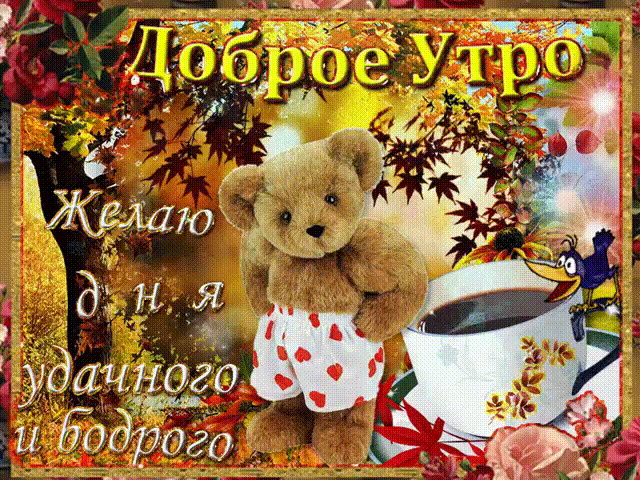 806109013.gif