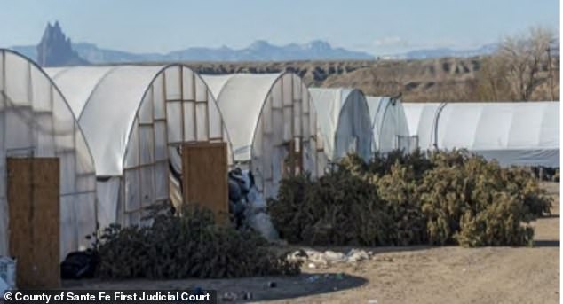 81890167-13886287-A_sprawling_illegal_marijuana_plant_in_New_Mexico_was_shut_down_-a-19_172719...jpg