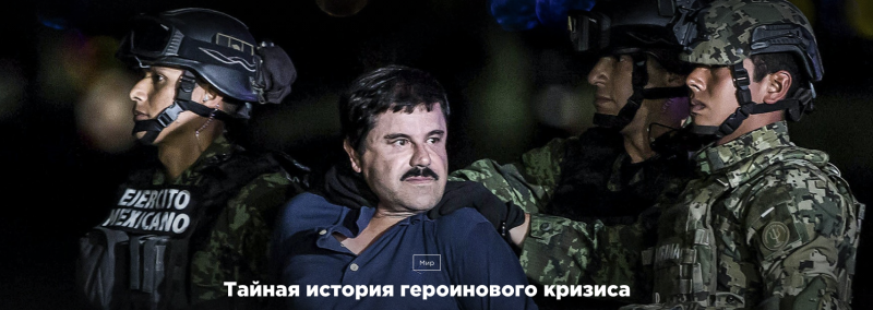 828446_800.png