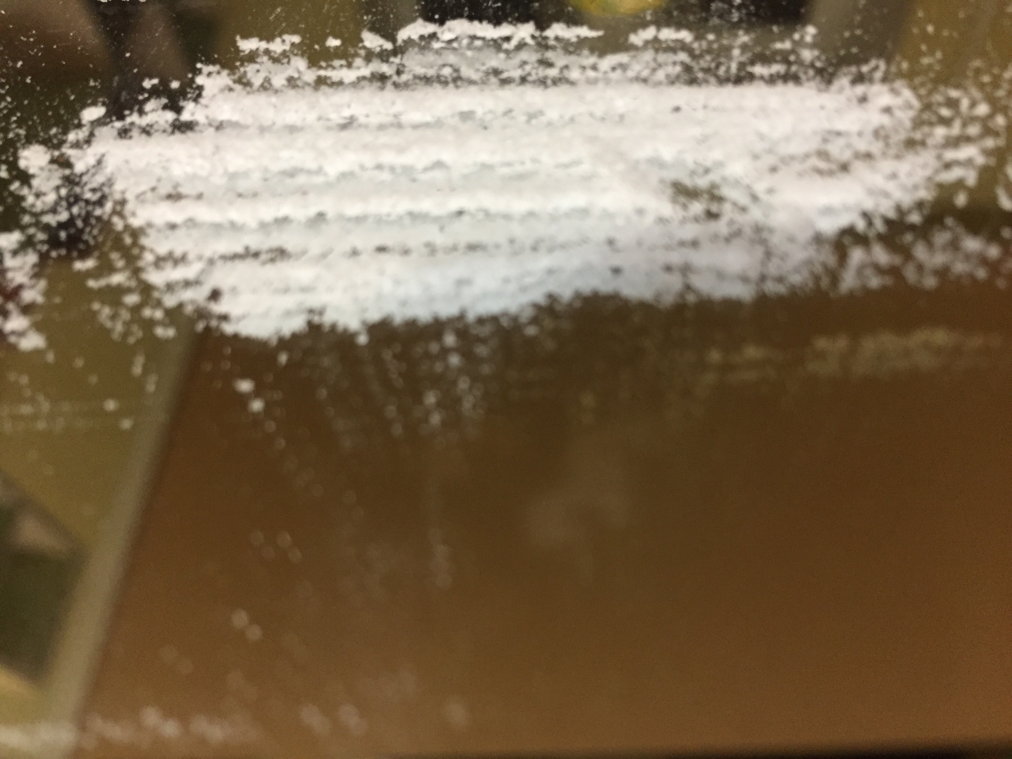 9518C8C1-3D0D-4469-8310-B73EA49081F5.jpeg