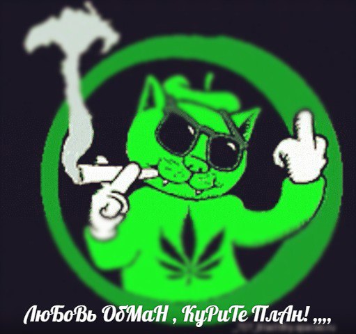 99N_XGBh24I.jpg