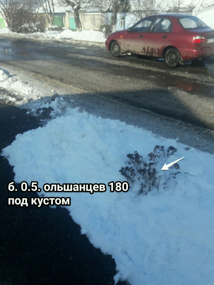 9cbb78f1a2be.jpg