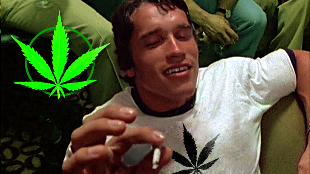 A-Lifters-Guide-to-Marijuana.jpg