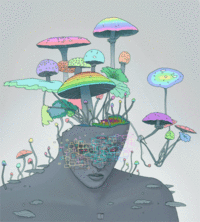 ac9d6fbc50de833839f4a63b923d7b97_w200.gif