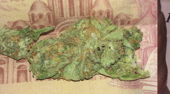 ацупцупуц.jpg