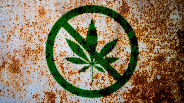 AdobeStock_42L_636284910_Cannabisblatt.jpg
