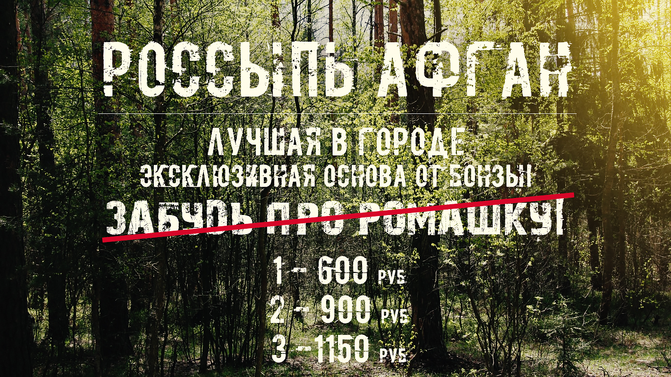 афган лес.jpg