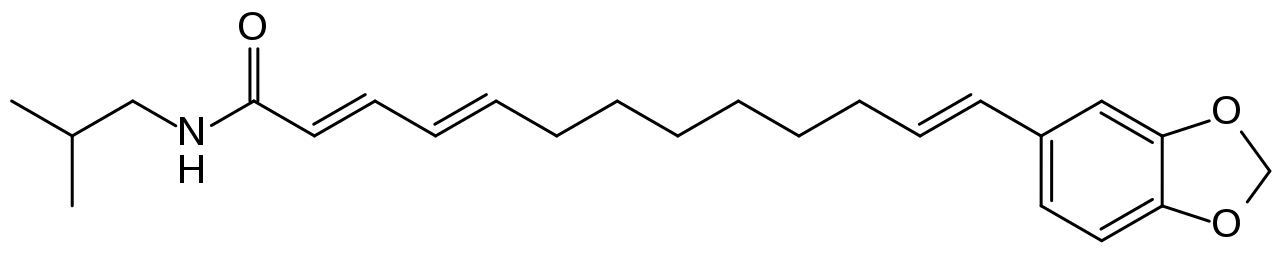 altern2.png