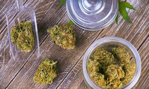 arkansas-group-file-ballot-petitions-legalize-recreational-cannabis-featured.jpg