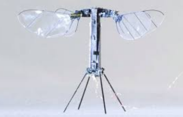 aux-head-1739351231-20250212_вкщт_лфьфк_360.png