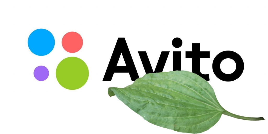avtio1.jpg