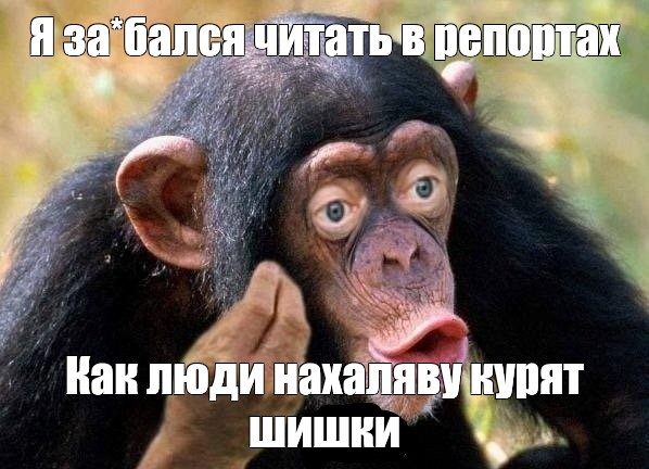 b83f9f1918a804d9617f8b3a8c925bb4.jpg
