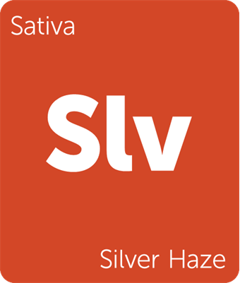 badge.png