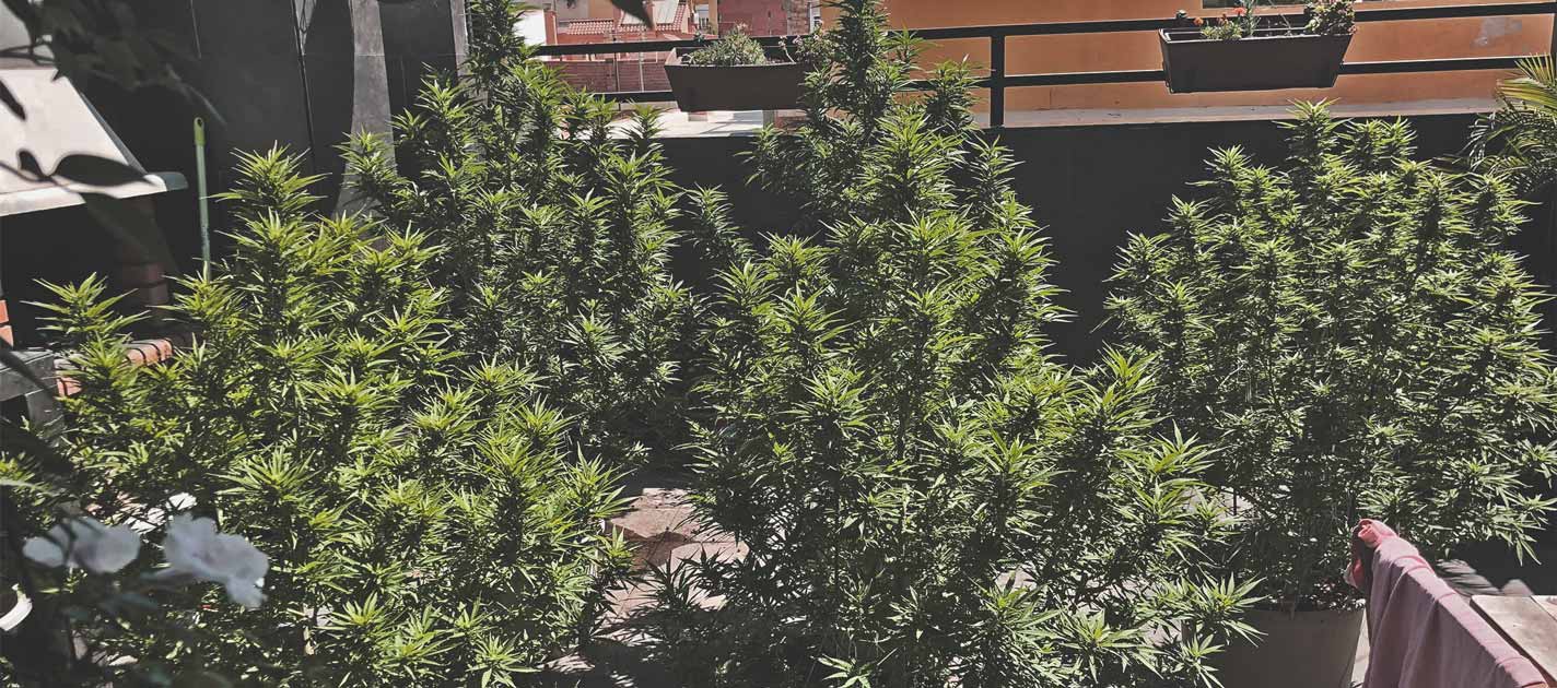 balcony_2.jpg