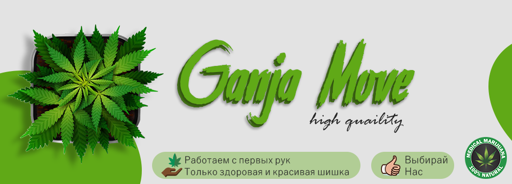 Banner 1.png