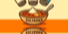 banner_230x115.gif