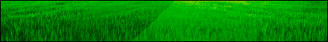 bannerperedelka.gif