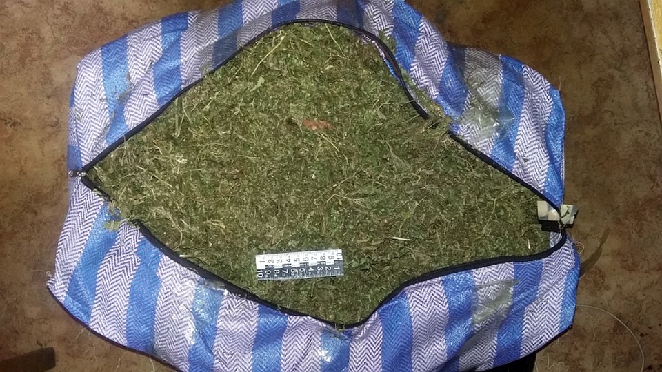 bauli konoplya.jpg