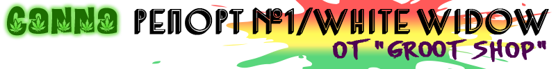 белая вдова.png