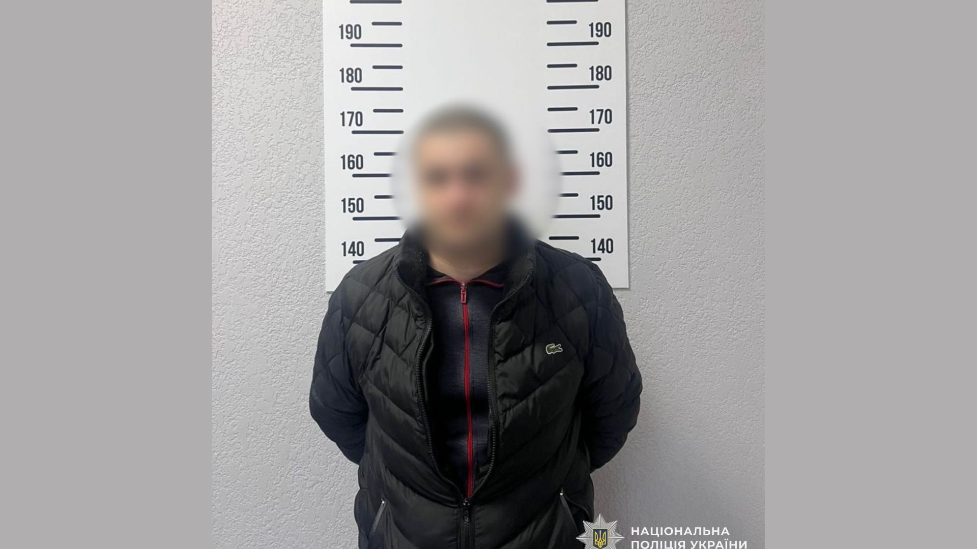 Belaya-Synyaya-Zelenaya-y-ZHeltaya-Fotokollazh-Sovremennaya-Resursy-dlya-Novogo-Sotrudnyka-Kom...jpg