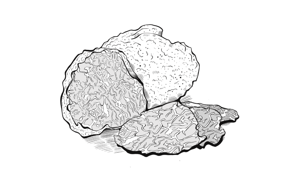 Black-Truffel-1-1024x683.png