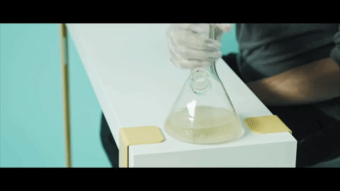 bong5.gif