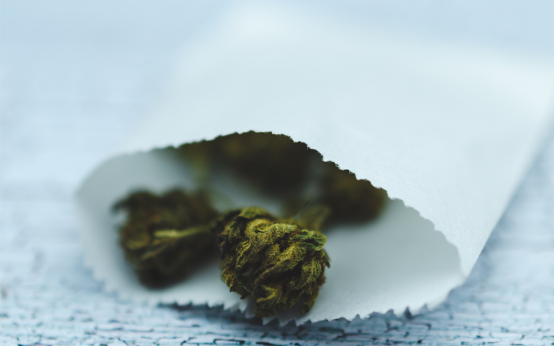 buds_in_paper.jpg