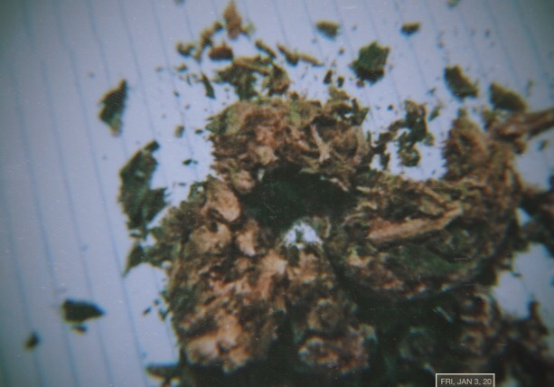 C7636A34-BC2D-4C33-B868-C7BDFD18427F.jpeg