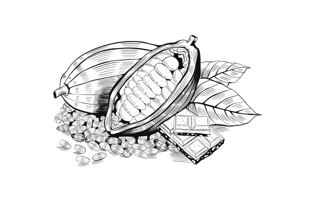 Cacao-1-1024x683.png