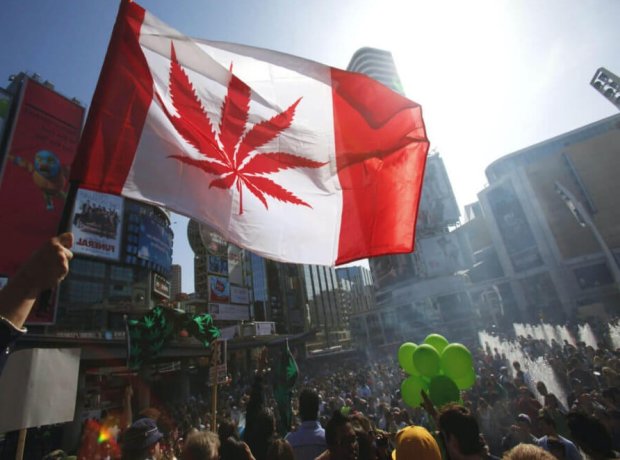 canad_marih1.jpeg