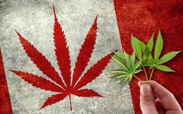 canada1.jpeg
