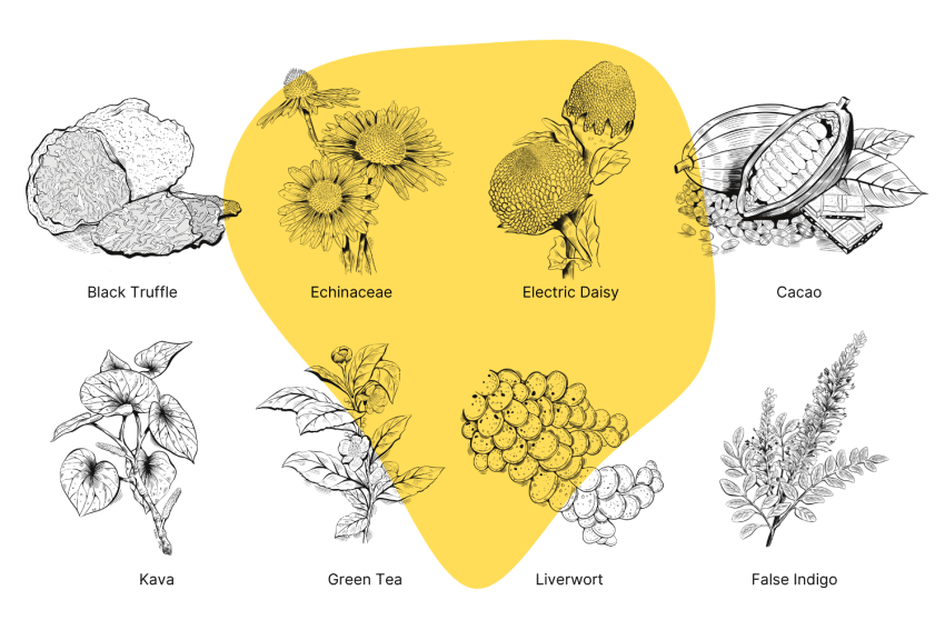 Cannabinoid-Herbs-Cover-1-850x567.png