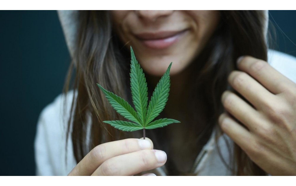 cannabis-1280x720-1000x630.jpg