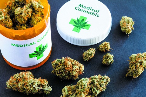 Cannabis.jpg