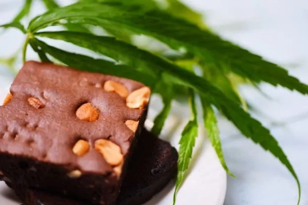 cannafood.jpg