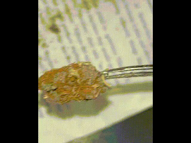cb39b909-fb04-4e22-b8c5-e12f7c4cae15.gif