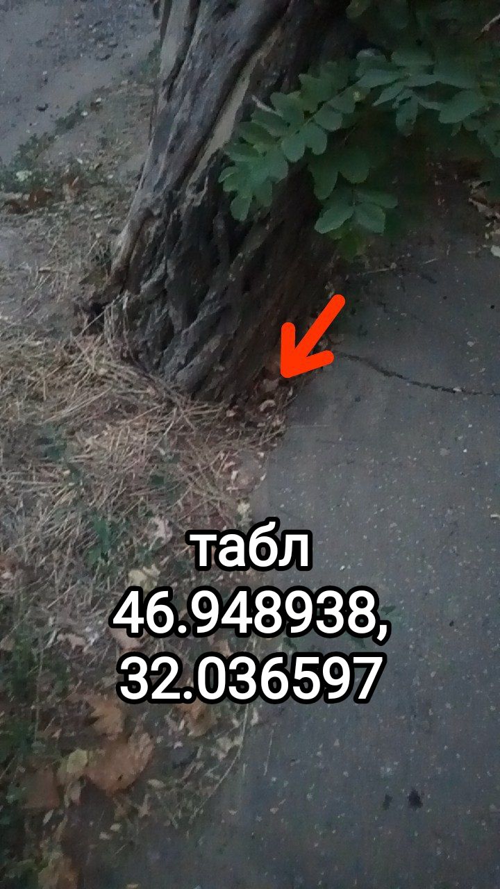 CB66491E-E31A-4E03-ABD1-CD84E97D1422.jpeg