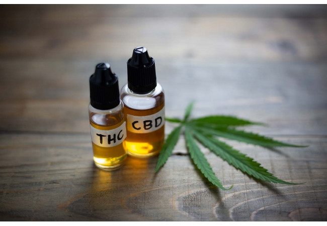 CBD-vs-THC-1662625340-650x450.jpg