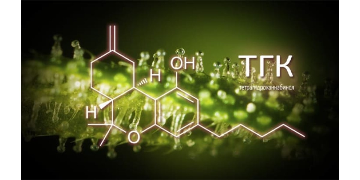chto-takoe-tgk-v-trave-ywh-1200x600.jpg